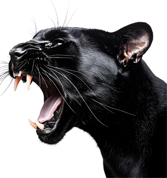 Aracınızın Şıklığı ve Güvencesi İrondizayn’da.